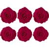 LA ROSEE ETERNELLE Scatola con 6 Rose Eterne Color Hot Pink | Durano Oltre 3 Anni | Rose Stabilizzate per Regalo e Decorazione | Fai da Te - bricolage Creativo | Matrimoni, Anniversari e Composizioni Floreali