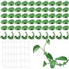 Bafumiu Set di 60 Ganci per Piante Rampicanti, Clip Supporto Piante Autoadesive, Supporto da Parete per Piante da Esterno, Ideale per Piante Piccole, Realizzato in Materiale Resistente