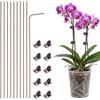 Nogeqi 10 bastoncini per orchidee, supporto flessibile per piante, asta per piante da 30 cm, con 10 clip per piante per interni ed esterni, asta professionale per piante (marrone)