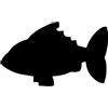 SECURIT - Lavagna a Parete Pesce - 1 Pennarello Bianco - 4 Adesivi a | Superficie Doppia Flessibile - Antigraffio e Antiurto - Uso Interno ed Esterno - Facile da Pulire