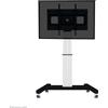 Neomounts by Newstar Neomounts PLASMA-M2500SILVER supporto da tavolo per Tv a schermo piatto 2,54 m (100") Argento Pavimento