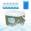 Huayeex Ghiacciaie E Refrigeratori Box Termico Antigoccia 6 L