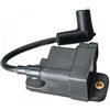 sDtESNB Modulo CDM di accensione 827509A7 827509A4 827509T7 Compatibile con 30HP 300HP