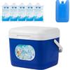 GTFYUDGH Ghiacciaie E Refrigeratori 6 L Ermetica a Prova di Perdite con Maniglia