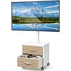 5Rcom Supporto TV bianco su ruote per TV LED LCD OLED al plasma da 32-60 pollici, mobile TV piatto curvo regolabile in altezza con staffa fino a 40 kg, supporto mobile per TV con cassetti max VESA 400