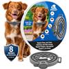 Tempotech ® Collare Antiparasaitario - Cane e Gatti - 8 Mesi di Protezione - contro Pulci, Zecche, Zanzare, Acari e Pidocchi - 100% naturali (Nuova chiusura 72 cm)