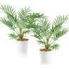 JINXIAN Set Di 2 Vasi In Plastica Bianca Artificial Ti Plant 41 cm Piante Finte Da Interno 14 Foglie Fresche e Delicate Palme Artificiali Areca per Atmosfera Domestica Decorazioni Bagno