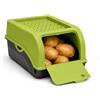 ARTECSIS® 1 x contenitore per patate con coperchio 2,5 kg (verde), scatola per verdure e alimenti con 6 etichette