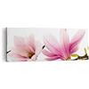 ARTTOR Moderno Quadro su Tela 140x50 cm Stampe da Parete Botanica Fiori - 2641