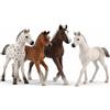 Schleich Set di 4 puledri Holsteiner 13860, Hannoveraner 13818, Foresta Nera 13899 e Puledro Knabstrupper 17076 (Horse Club)