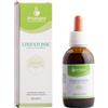 ARCANGEA LINFATONIC SOLUZIONE IDROALCOLICA BIO 50 ML
