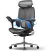 Hbada E3 Pro Sedia Ufficio e Scrivania Ergonomica, con Supporto Lombare Dinamico a 3 Zone, Testiera Regolabile 4D, Braccioli Regolabili 6D (Polipropilene, Nero)