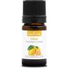 La Compagnie des Sens LIMONE (Citrus limon) BIO - 5mL - Olio Essenziale di Qualità Premium - 100% Puro, Naturale, certificato ChromaCert® - Chemotipato e Integrale