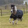 Bucas Irish Turnout Light 50g Classic 1200D - Pony - nero/oro