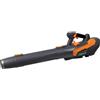 ANOVA Soffiatore a batteria E+ 60 V, potenza 1800 W, velocità dell'aria 95 m/s, volume 1400 m³/h, forza soffiata 28 N, per la pulizia di foglie, tagli e residui in giardini e acciaio, design robusto