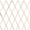 Generico Traliccio Estensibile in Legno Naturale 200 x 100 cm - Grigliato per Piante Rampicanti - Supporto Decorativo per Giardino, Balcone e Terrazzo