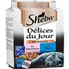 SHEBA Delizie del Giorno Bustine Freschezza, 6 x 50 g, Selezione di Pesci in Salsa