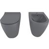 BRICOZONE Coppia Sanitari Filomuro Vaso WC E Bidet In Ceramica Filo Muro Filo Parete Design Moderno Con Copriwater Chiusura Soft Close Chiusura Rallentata (Grigio Opaco)