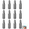 Fwobumy Set di 12 punte PH2 x 25 mm, punte di avvitatura PH2 a crociforme in acciaio S2 ad alta resistenza, compatibili con trapani avvitatori elettrici e cacciaviti ideali per bricolage assemblaggio mobili