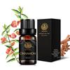 Aphrosmile Aromaterapia olio essenziale di cannella, 100% Pure cannella Profumo olio essenziale per diffusore, umidificatore, massaggi, terapeutico Grade Cannella Aromaterapia oli essenziali Fragrance 10 ml