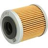 Champion ION Filtro olio ion COF082 Beverly Sport Touring 4T 2011 (Filtri Olio) / Oil filter ion COF082 Beverly Sport Touring 4T 2011 (Oil Filter)