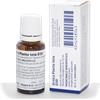 WELEDA Arnica Planta Tota*d30 Gtt20ml