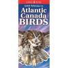 Nicholle Carriere Quick Reference to Atlantic Canada Birds (Mixed Media Product)