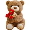 QuidToyzian Orsacchiotto Morbido con Rosa - Orsacchiotto Peluche Compagno del Sonno per Bambini e Adulti, Regalo per Compleanno, Festa, San Valentino e Baby Shower 30cm