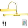BIGMONAT Lampada da Parete Ricaricabile di Immagine, Luce di Riempimento Senza Fili Del Bagno, con Telecomando, Testa Rotante Della Lampada, con 12 Schermi di Regolazione del Colore,Oro