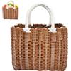 Lergas Cestino per la spesa intrecciato in plastica, borsa intrecciata grande, cesto intrecciato, borsa cesto estiva, borse cesto da donna, borsa da spiaggia impermeabile, borse di rafia, borsa della spesa