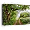 ARTTOR Moderno Quadro su Tela 70x50 cm Stampe da Parete Paesaggi Foresta - 2637