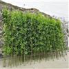 XDOPIRRS Schermo Privacy in Bambù Artificiale per Esterni,Pianta Artificiale Impermeabile per la Privacy, Adatto per Decorare Balconi, Terrazze e Giardini(2m/6.5ft tall,30 Bamboo)