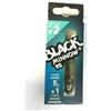 FIIISH Combo Shore - 5g - Ghost Minnow + rech Ghost Minnow