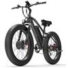 LANKELEISI MG740PLUS 250W 48V 20AH, pneumatici larghi 26 * 4 pollici, mountain bike elettrica, velocità massima 25 km/h (grigio)