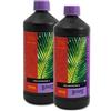 Atami B'cuzz Coco A+B 2X1l