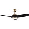Cecotec Ventilatore da soffitto Cecotec con luce EnergySilence Aero 4265 OroNero. 65 W, diametro 42" con luce LED da 18W, telecomando