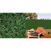 Nortene Oculento Artificiale Hedge 85% PVC 1x3m - Elevato occultamento - Simula il naturale