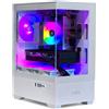 NONE Computer da Gaming 32GB RAM / 1TB con Nvidia GTX 1650 / Fortnite 144 FPS, include Wifi 6, Bluetooth e Windows 11 Pro con licenza e TPM 2.0 / Garanzia di 3 anni