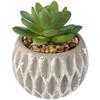 NONE Foto di Fabbrica Vaso in Cemento con Succulenta Artificiale H9cm - Decorazione Moderna