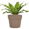 NONE Set di 3 vasi in plastica "Comby" per esterni e giardino, ideali per fiori e piante.