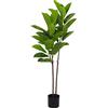 NONE Pianta di Ficus Elastica da 140 cm