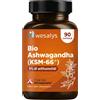 Ashwagandha Bio KSM-66® 3600mg alto dosaggio per il Benessere Fisico e