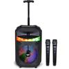 | Cassa Trolley Acustica Wireless Con 2 Microfoni Senza Filo, Luci RGB, Telecoma