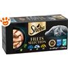 Sheba Cat SHE Filets con Pollo, Pollo e Gamberetti, Salmone e Tonno - Confezione Da 6×60 Gr