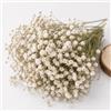 KAOHONG 120 Pezzi Gypsophila Essiccata Bianchi Fiori Secchi per Decorazioni Mini Fiori Bianchi di Gypsophila Secchi in Vera Natura per l'artigianato Artistico di Resina, Nozze Decorazioni