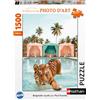 Nathan - 1500-piece puzzle - Royal Bath / Paul Fuentes Design - Ages 14+ - Perfect fit - Art Photo Collection - 12001862
