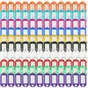 VIVIIHOO Portachiavi scrivibile, 100 pezzi, colore misto per scrivere, portachiavi per animali domestici e bagagli, in plastica con anelli portachiavi in 10 colori