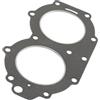 AYZLGAA for Y-a-m-a-h-a 2 Tempi 40hp 6f5-11181 Guarnizione Testata Motore fuoribordo