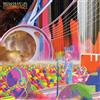 The Flaming Lip The Flaming Lips Onboard The International Space Station Co (CD)