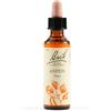 SCHWABE PHARMA ITALIA ASPEN BACH ORIG 20ML - SCHWABE PHARMA ITALIA - 942859125
